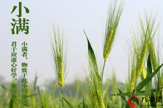 2020年小滿節氣黃歷日子什么沖什么 沖煞是什么？(圖文)