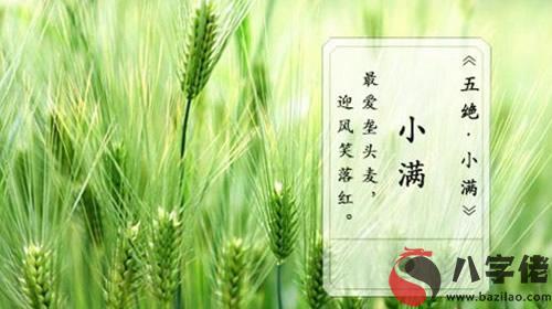 2020年小滿節氣時辰（亥時）出生鼠寶寶命好不好？(圖文)