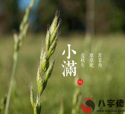 2020年小滿訂婚好嗎,2020年小滿當天會不會下雨？(圖文)