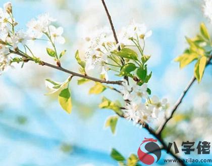 農歷閏四月出生是桃花命嗎,閏四月初一到十五命理！(圖文)