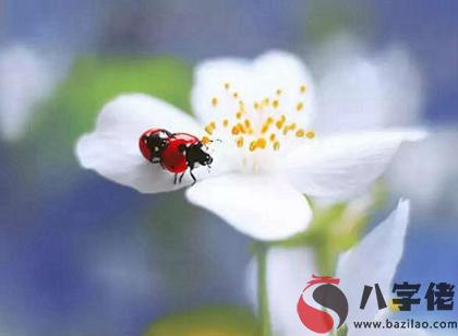 農歷閏四月出生是桃花命嗎,閏四月初一到十五命理！(圖文)