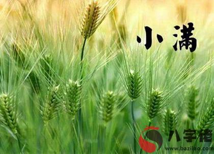 2020年小滿四月二十八不宜動土嗎,小滿這天沖什么生肖？(圖文)