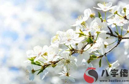 2020年四月十九忌出行嗎,5月11日婚戀卦象解析！(圖文)