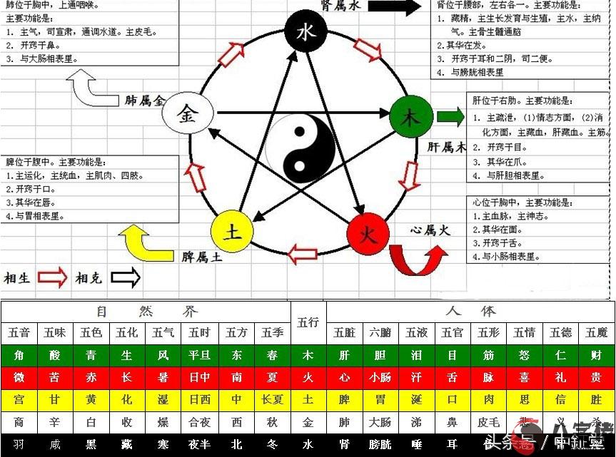 陰陽五行十天幹基礎詳解